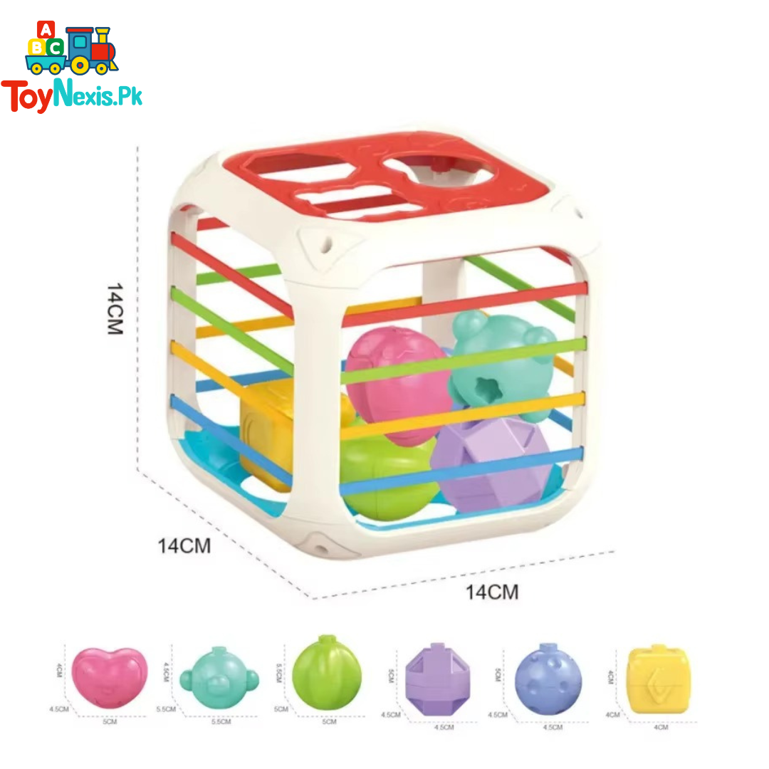 Shape Sorting Box | 2-in-1 Baby Activity Toy | Educational Learning Toy for Kids | 9+ Months