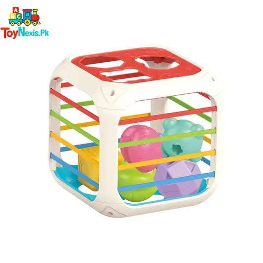 Shape Sorting Box | 2-in-1 Baby Activity Toy | Educational Learning Toy for Kids | 9+ Months